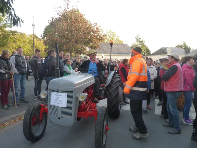 Tracteurs de collection à la foire