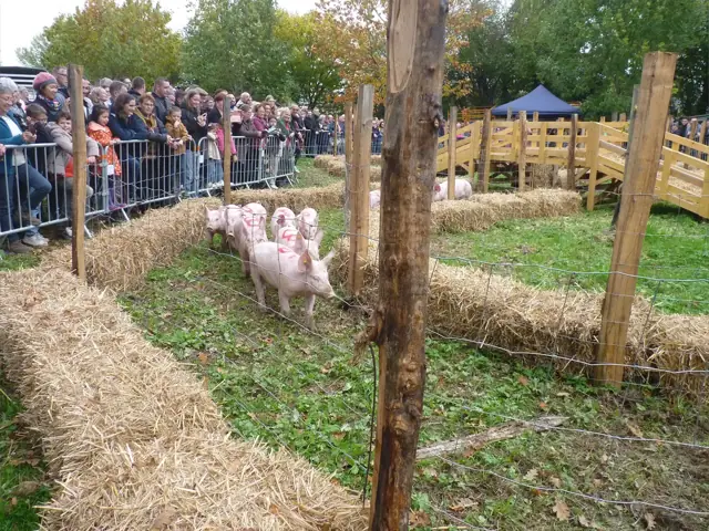 Fanfare dans la salle de la Foire aux Pommes