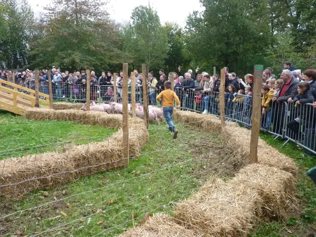 Foule de visiteurs dans les allées de la foire