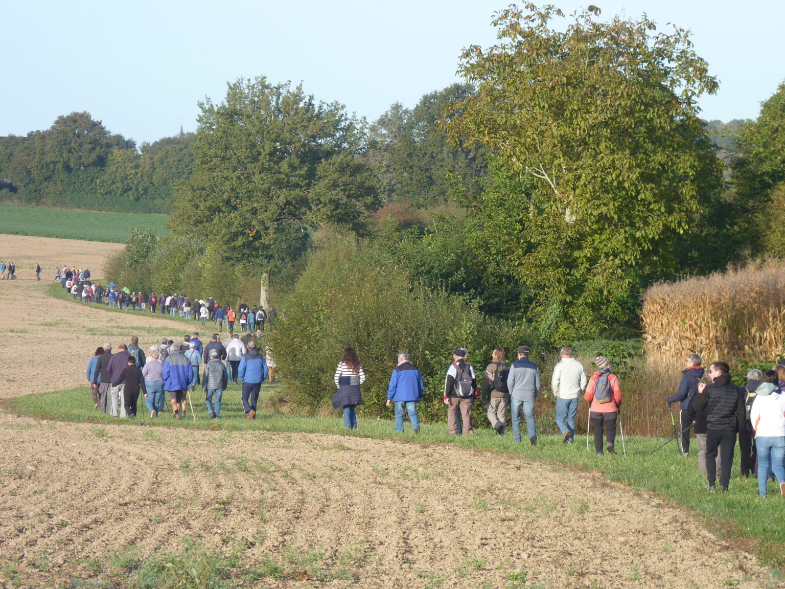 Randonnée pédestre Marigné Les Hauts d'Anjou