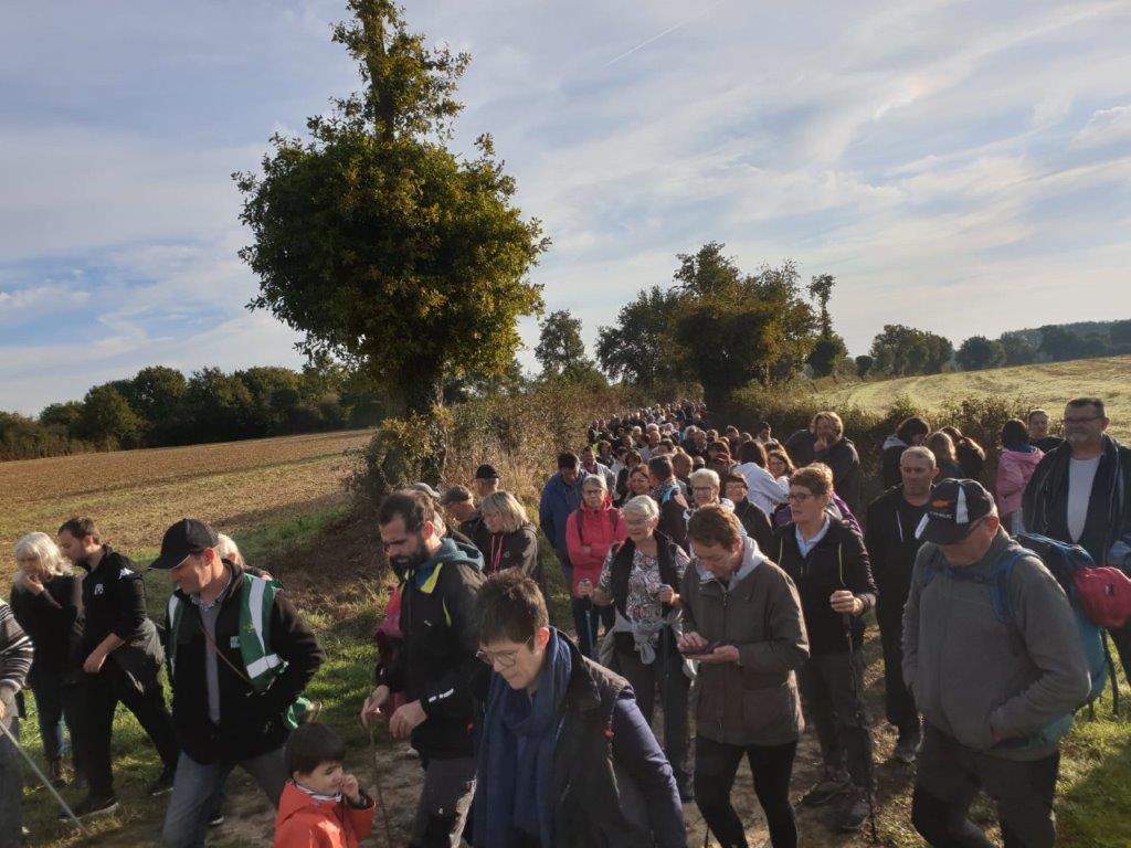 Randonnée pédestre Marigné Les Hauts d'Anjou